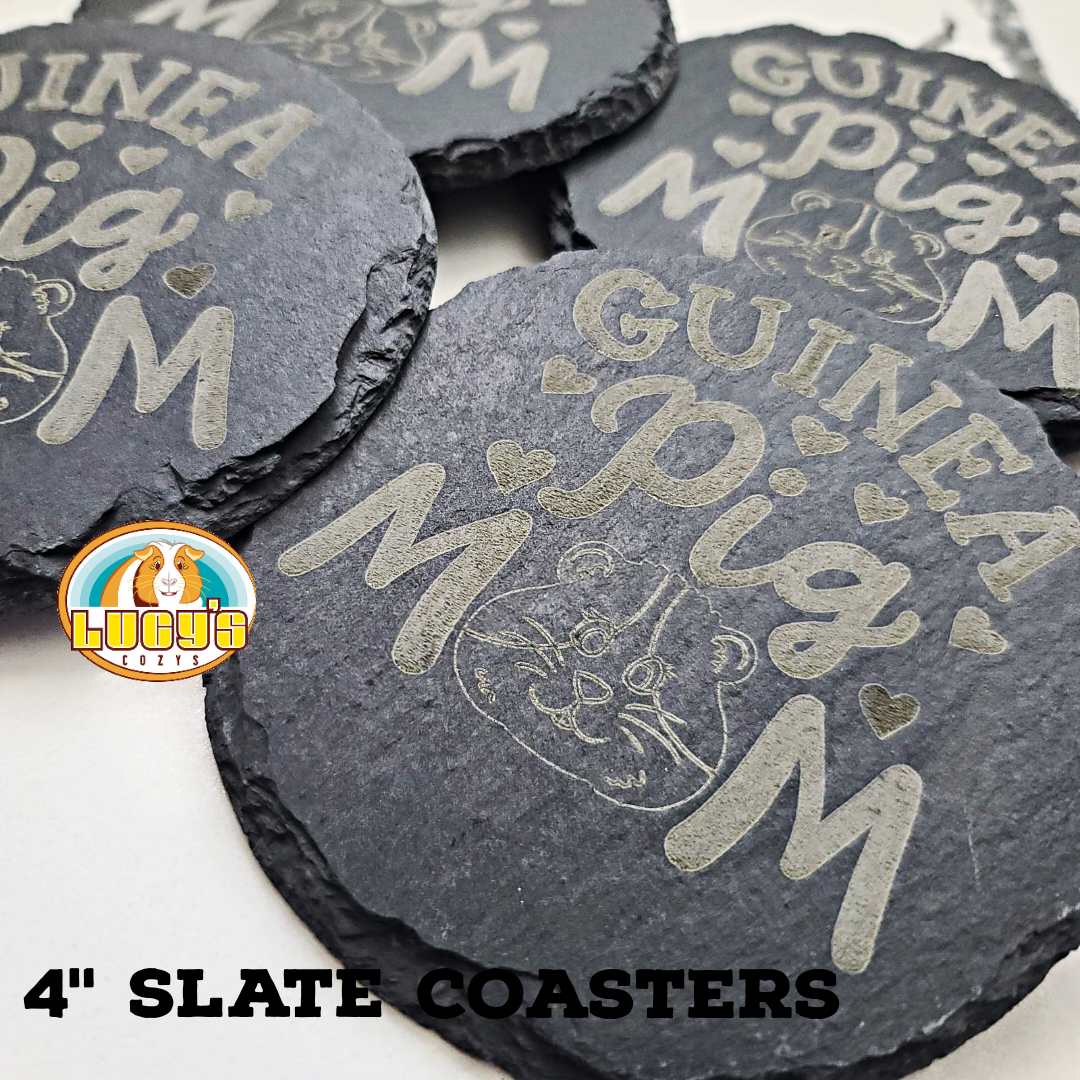 Set of 4 Slate Coasters(4" round)