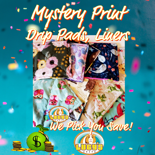 Pee Pads ~ Mystery Fabric Prints